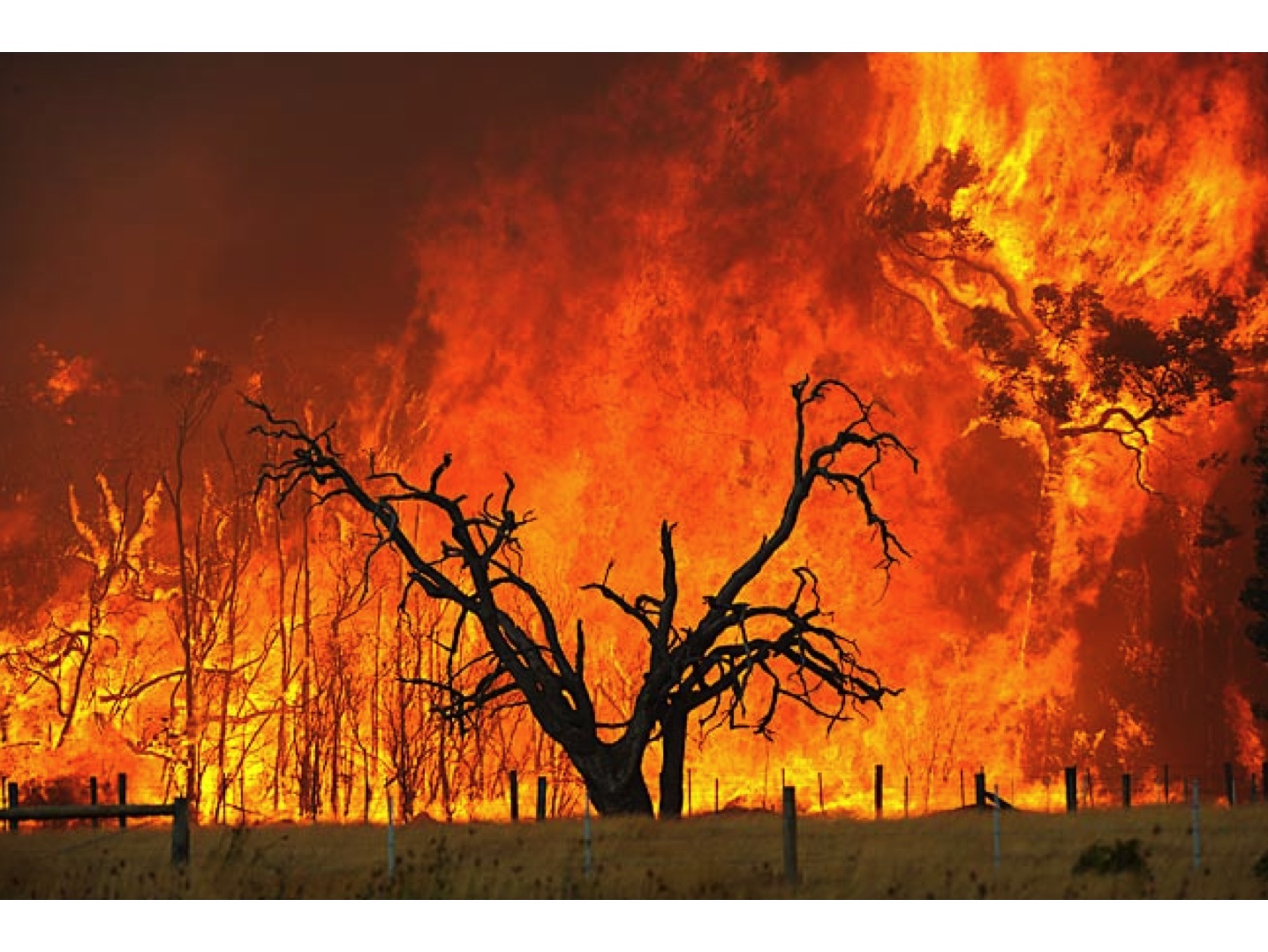 Earthbag domes are more fire resistant and safer in brush fires such as this one in Australia.
