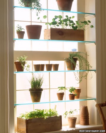 Greenhouse window
